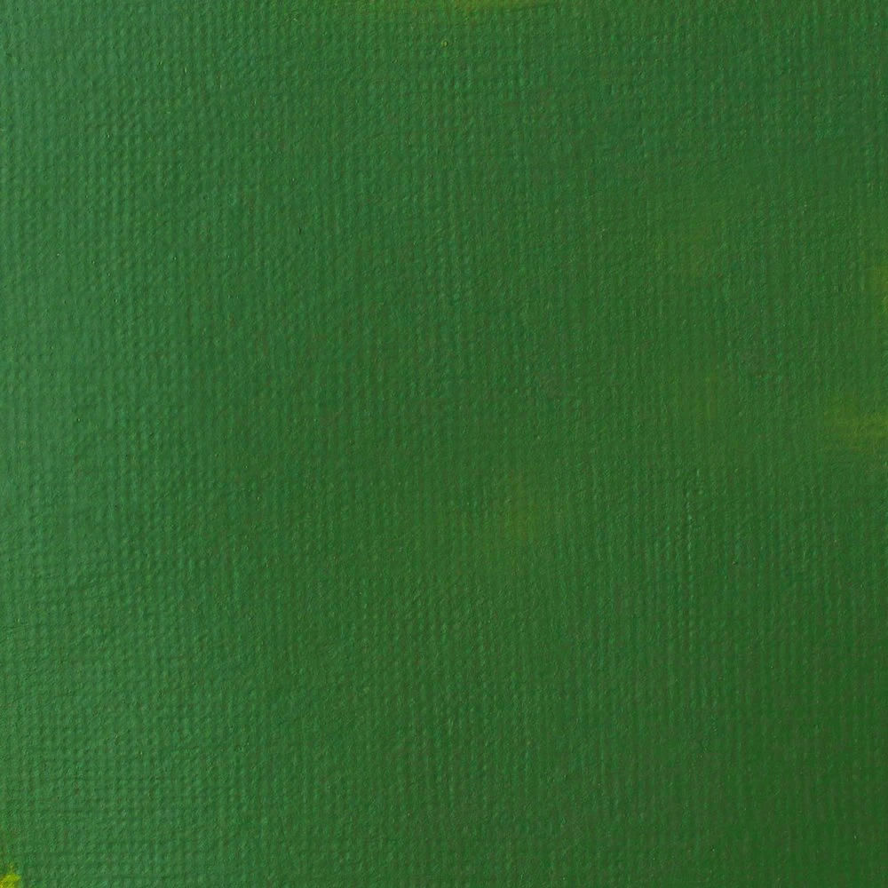 Basics Acrylic Fluid Color - Hookerâs Green Hue Permanent 2 Basics Acrylic Fluid Color - Hookerâs Green Hue Permanent - Image 2